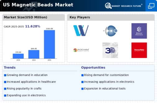 US Magnetic Beads Market Infographic