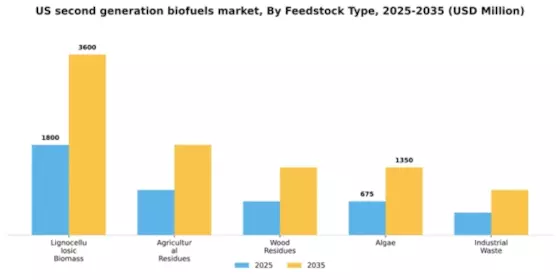 US Second Generation Bio fuels Market Segment Image 2