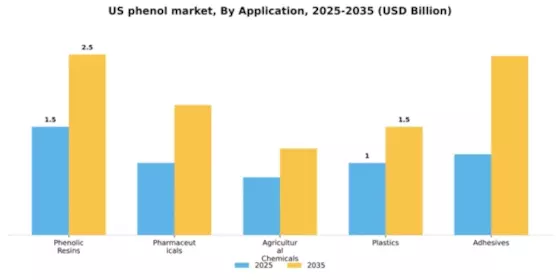 US Phenol Market Segment Image 0