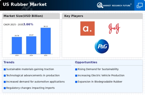 US Rubber Market Infographic