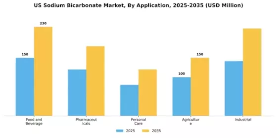 US Sodium Bicarbonate Market Segment Image 0