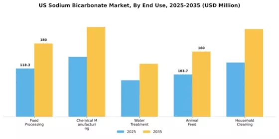 US Sodium Bicarbonate Market Segment Image 2