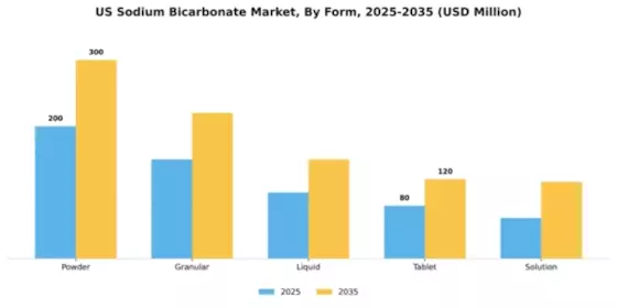 US Sodium Bicarbonate Market Segment Image 3