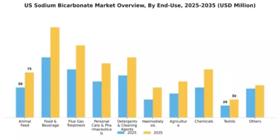US Sodium Bicarbonate Market Segment Image 0