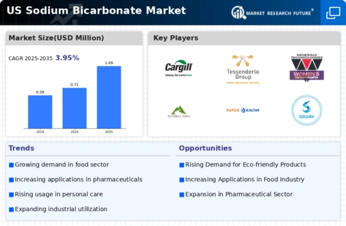 US Sodium Bicarbonate Market Infographic