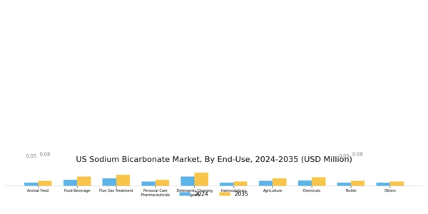 US Sodium Bicarbonate Market Segment Image 1
