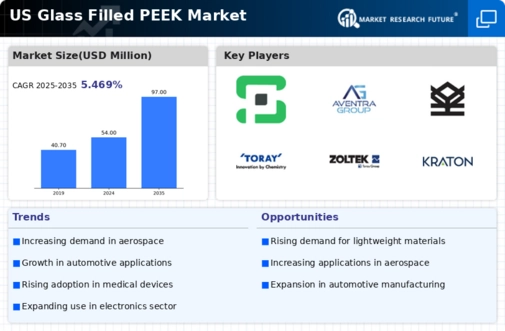 US Glass Filled PEEK Market Infographic