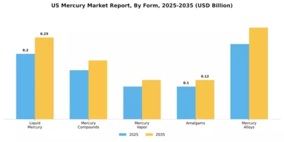 US Mercury Market Segment Image 2