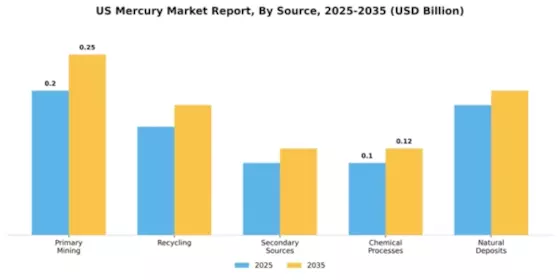 US Mercury Market Segment Image 3