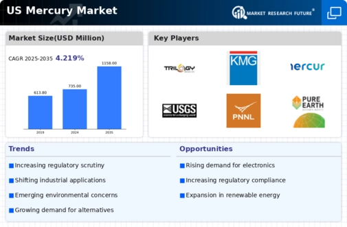 US Mercury Market Infographic