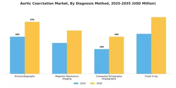 Aortic Coarctation Market Segment Image 0