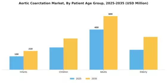 Aortic Coarctation Market Segment Image 1