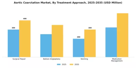 Aortic Coarctation Market Segment Image 2