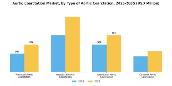 Aortic Coarctation Market Segment Image 3
