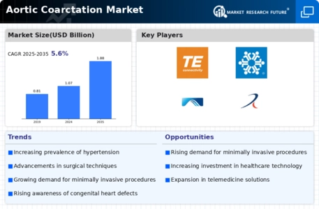 Aortic Coarctation Market Infographic