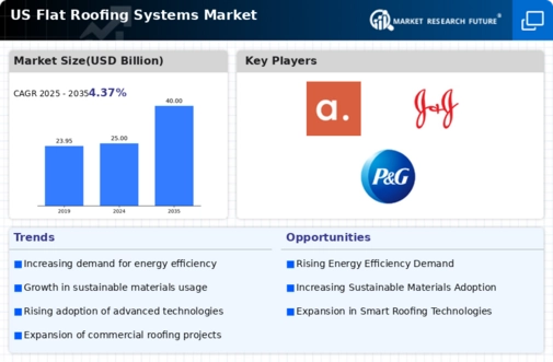 US Flat Roofing Systems Market Infographic