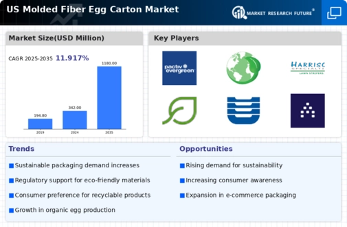 US Molded Fiber Egg Carton Market Infographic