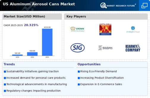 US Aluminum Aerosol Cans Market Infographic