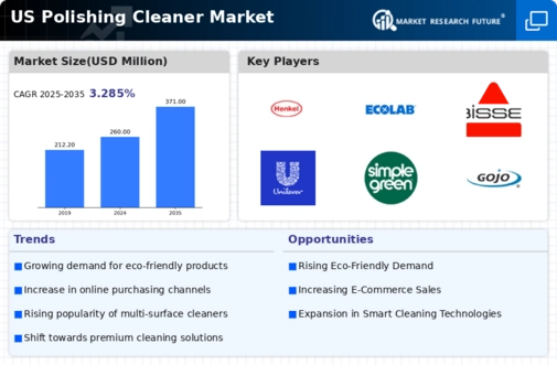 US Polishing Cleaner Market Infographic