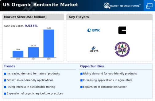 US Organic Bentonite Market Infographic