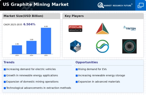 US Graphite Mining Market Infographic