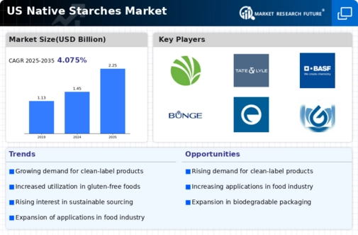 US Native Starches Market Infographic
