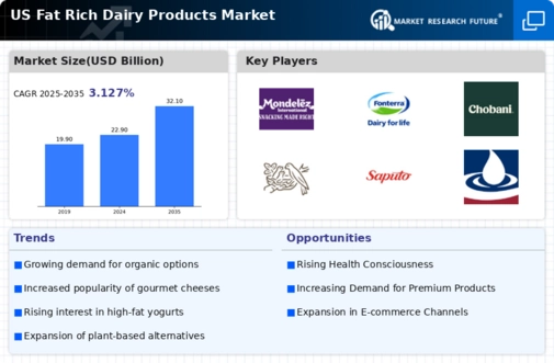 US Fat Rich Dairy Products Market Infographic