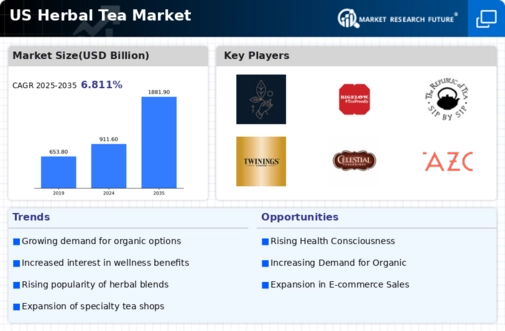 US Herbal Tea Market Infographic