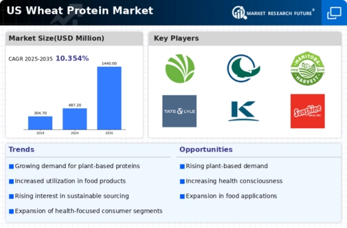 US Wheat Protein Market Infographic