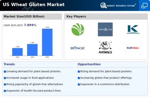 US Wheat Gluten Market Infographic