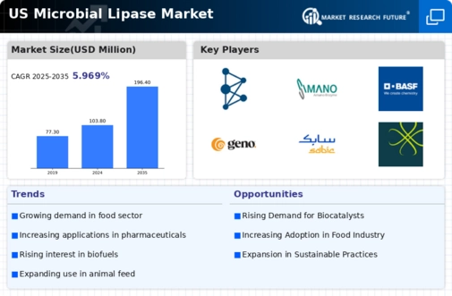 US Microbial Lipase Market Infographic