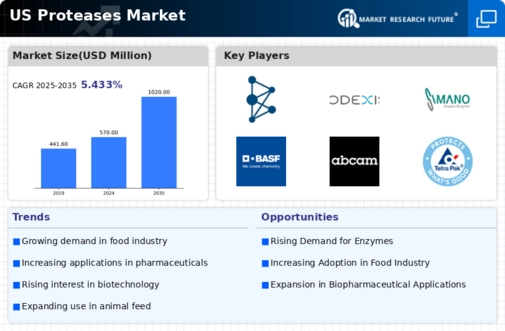 US Proteases Market Infographic