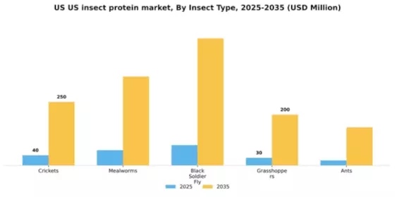 US Insect Protein Market Segment Image 3