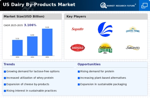 US Dairy By Products Market Infographic