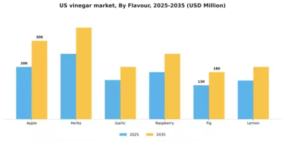 US Vinegar Market Segment Image 3