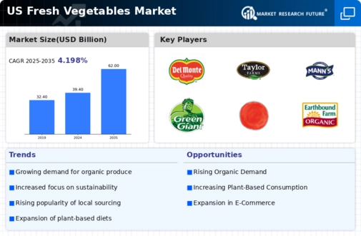 US Fresh Vegetables Market Infographic