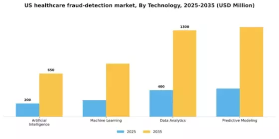 US Healthcare Fraud Detection Market Segment Image 3