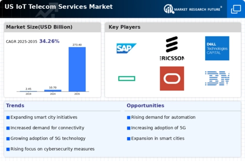 US IoT Telecom Services Market Infographic