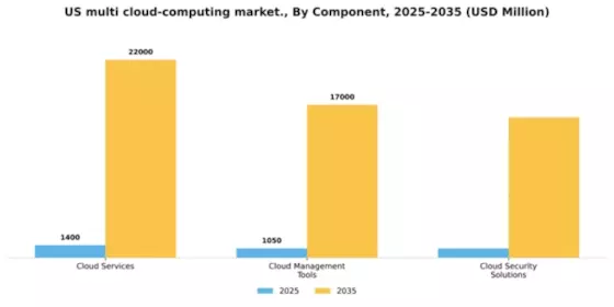 US Multi Cloud Computing Market Segment Image 0
