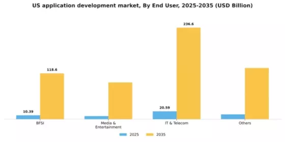 US Application Development Market Segment Image 0
