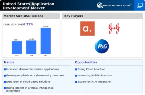 US Application Development Market Infographic