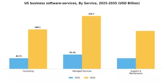 US Business Software Services Market Segment Image 3