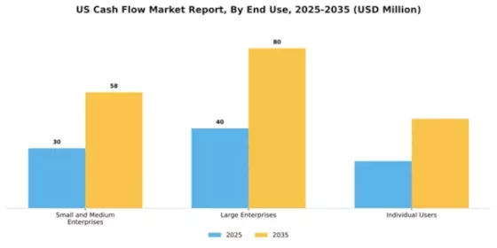 US Cash Flow Market Segment Image 2