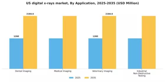 US Digital X-rays Market Segment Image 0