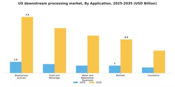 US Downstream Processing Market Segment Image 0