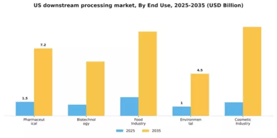 US Downstream Processing Market Segment Image 1