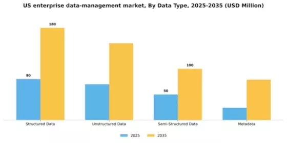 US Enterprise Data Management Market Segment Image 1