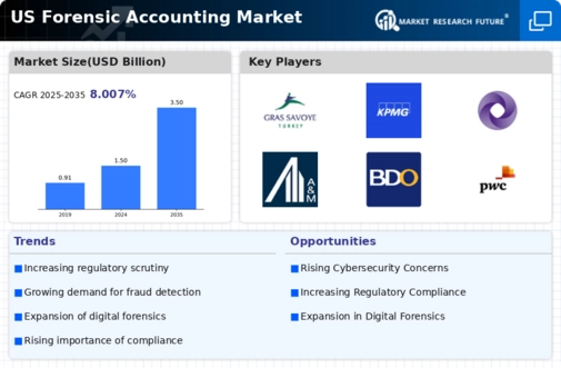 US Forensic Accounting Market Infographic
