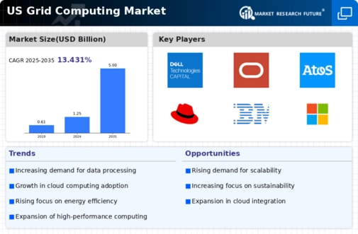 US Grid Computing Market Infographic