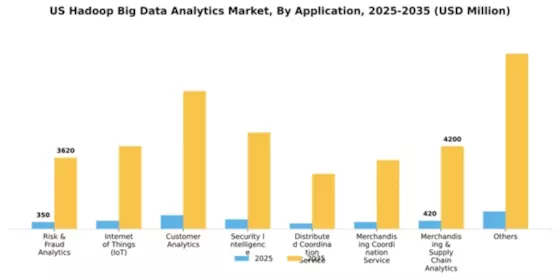 US Hadoop Big Data Analytics Market Segment Image 0